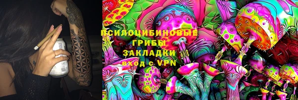 круглые Аркадак