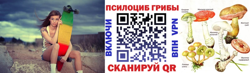 Псилоцибиновые грибы GOLDEN TEACHER  hydra ССЫЛКА  Йошкар-Ола 