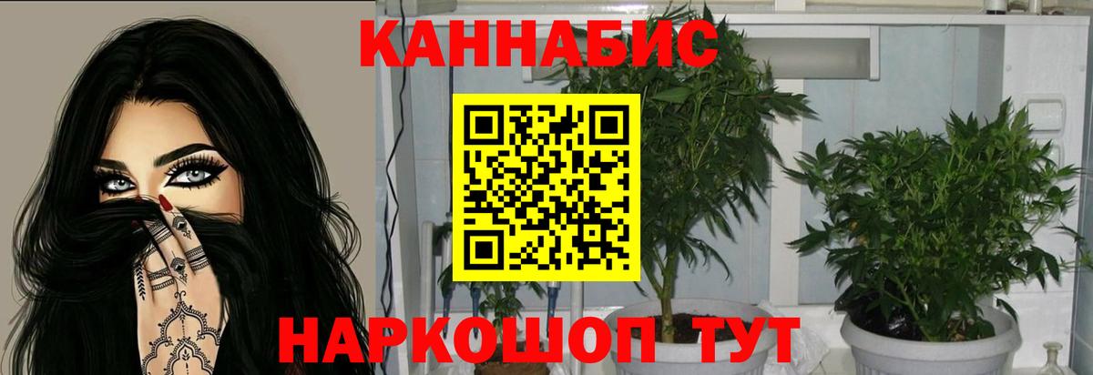 Марихуана White Widow Йошкар-Ола